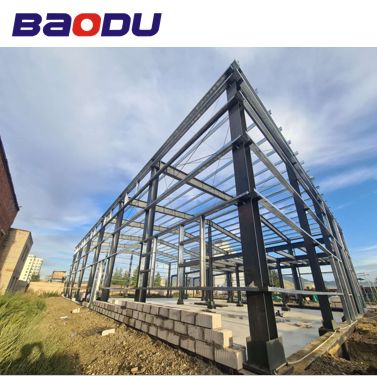 Canada Project Steel Structures Commercial Prefab Warehouse Metal Buildings Sheds Construction
