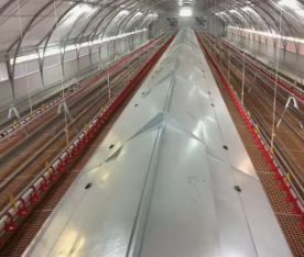 Estrutura de aço pré-fabricada com efeito de estufa galinheiro pré-fabricado granja avícola para 10.000 galinhas